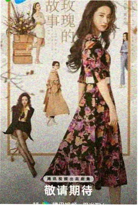 电视剧大全 热播剧 我的阿勒泰